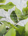 Isola del Garda - Nährstoffreiche anti-falten-creme für das gesicht